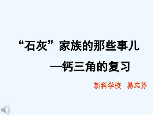 人教版初三化学下册石灰家族的故事——钙三角复习