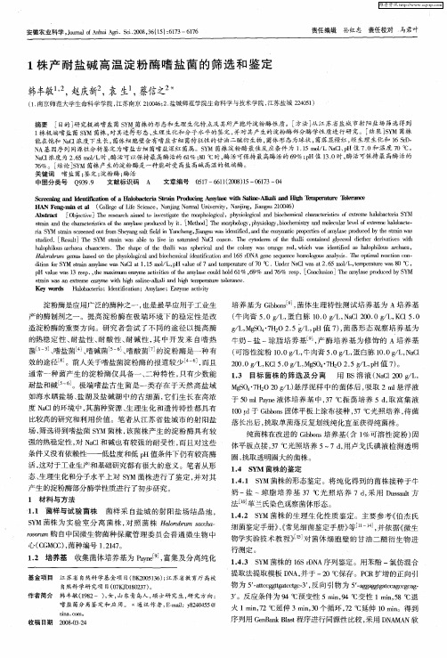 1株产耐盐碱高温淀粉酶嗜盐菌的筛选和鉴定