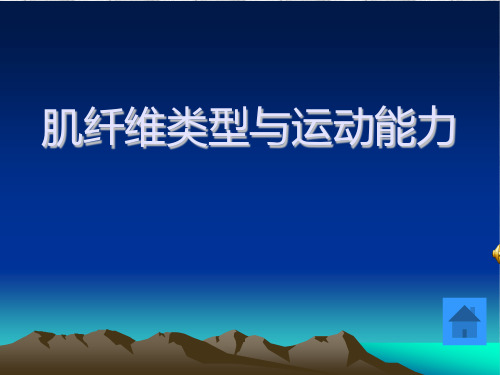 肌纤维类型与运动