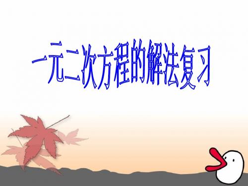 苏科版九年级上一元二次方程的解法复习课件
