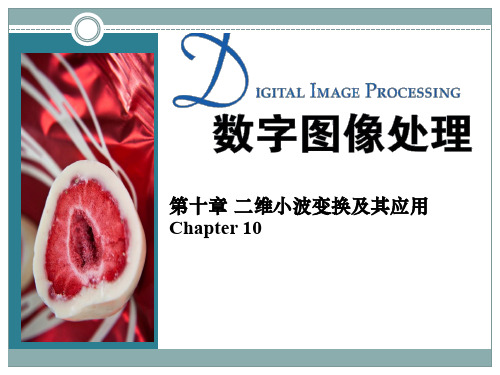 第10章 二维小波变换及其应用(1)