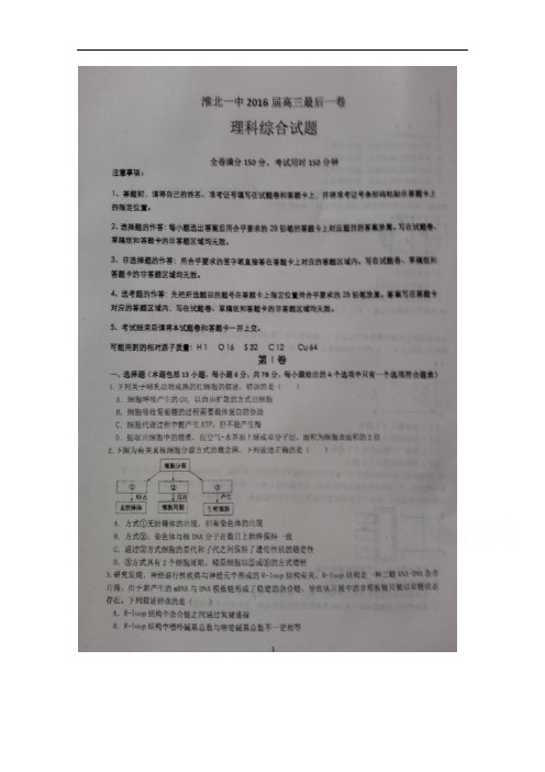 安徽省淮北市第一中学2016届高三最后一卷理科综合试题
