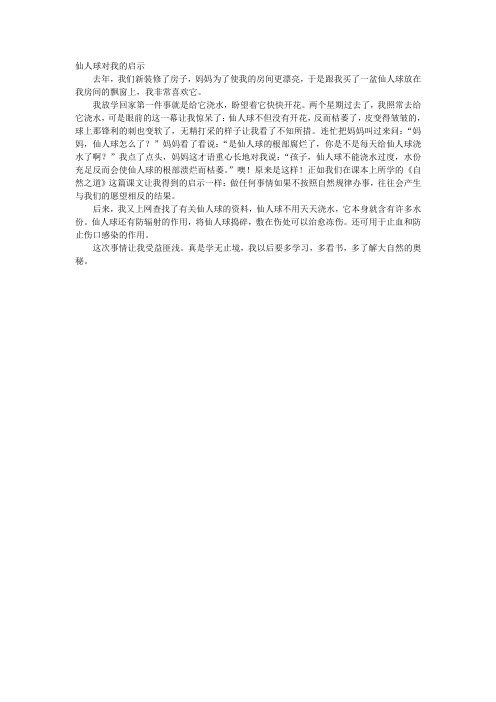 仙人球对我的启示