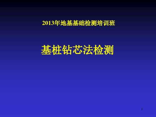 桩基础钻芯法技术培训剖析