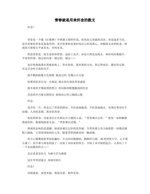青春就是用来怀念的散文