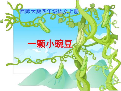 《一颗小豌豆》课件PPT