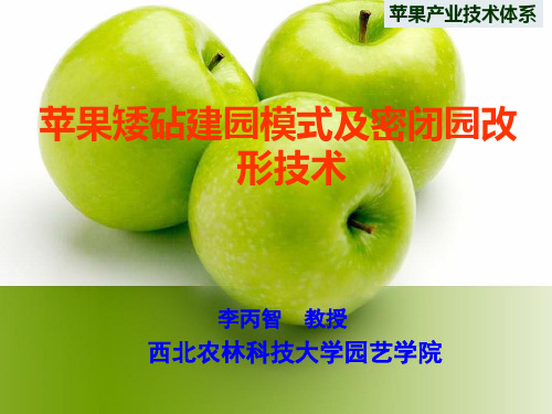 苹果矮砧建园模式及密闭园改形技术