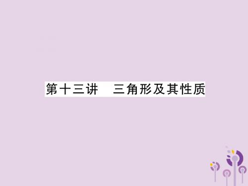 中考数学总复习第一编教材知识梳理篇第4章图形的初步认识与三角形第13讲三角形及其性质(精讲)课件