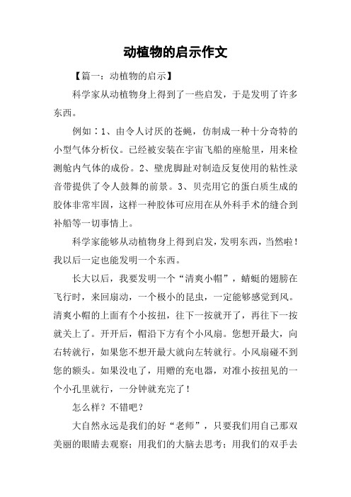 动植物的启示作文