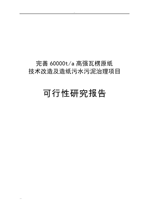 中高强瓦楞纸技术改造及造纸污水污泥治理项目可行性研究报告