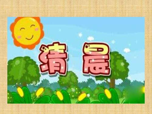 新苏教版年春季一年级下册：第课《叶子的眼睛》课件