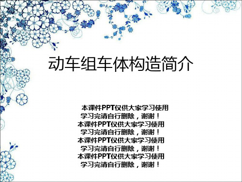 动车组车体结构简介