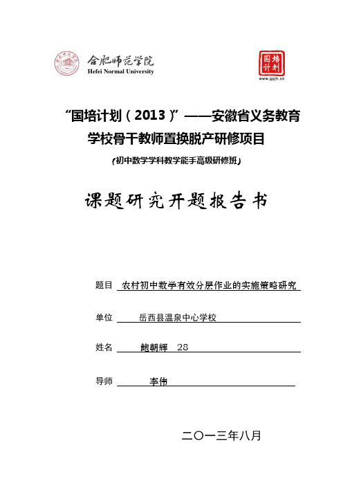 2013国培课题开题报告书