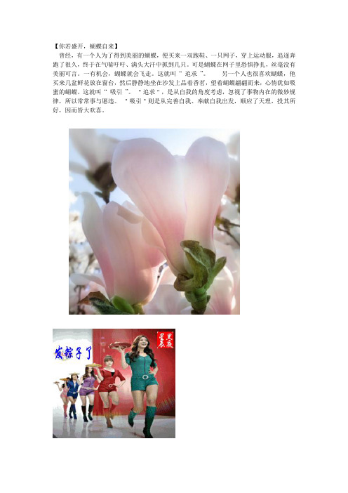 你若盛开 蝴蝶自来