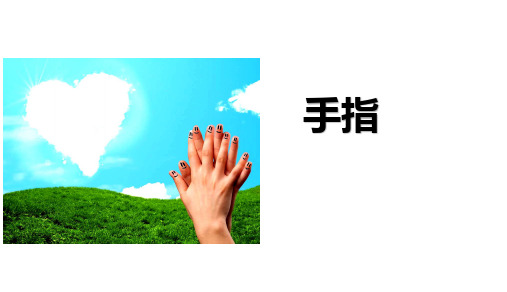 五年级下册语文课件-第22课  手指 人教部编版(共28张PPT)