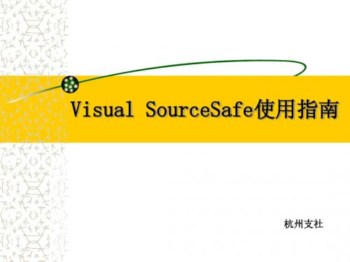 VSS使用指南