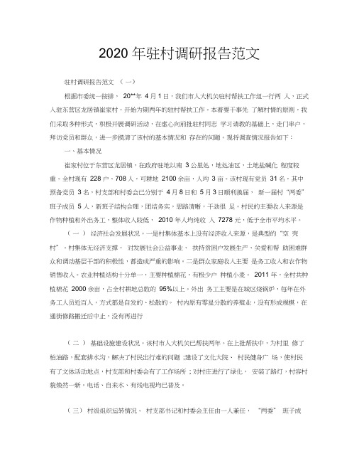 2020年驻村调研报告范文
