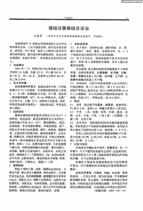 猪链球菌病综合诊治