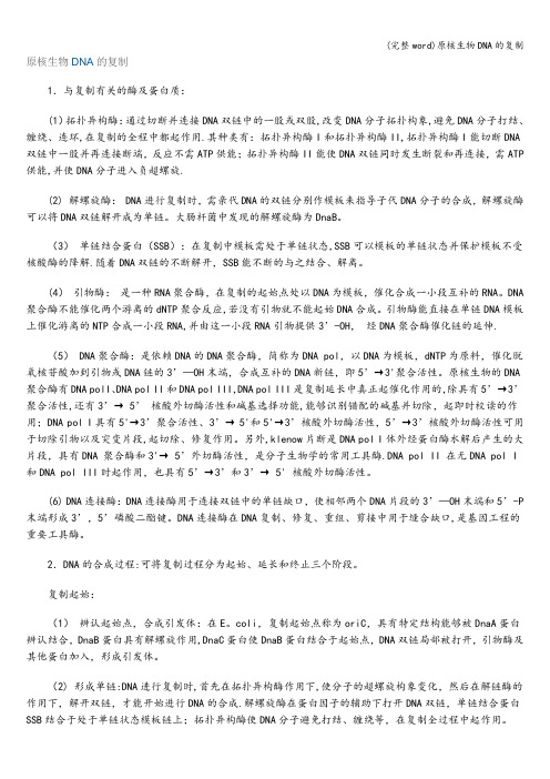 (完整word)原核生物DNA的复制