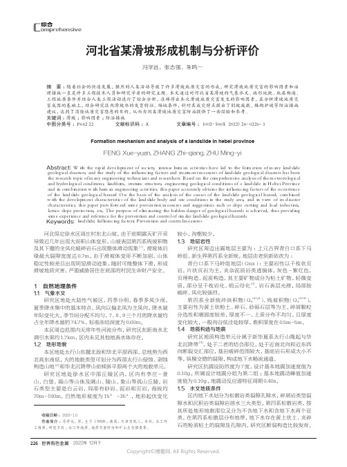 210979072_河北省某滑坡形成机制与分析评价