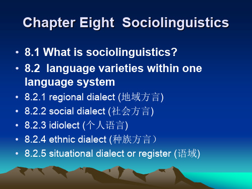 英语语言学 社会语言学 Sociolinguistics