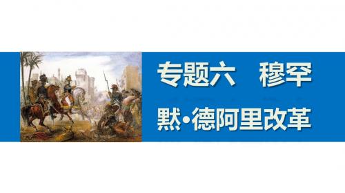 2015-2016学年高二历史人民版选修1课件专题六 17 中兴埃及的改革.ppt