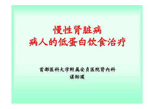 (仅供参考)慢性肾脏病病人低蛋白饮食治疗
