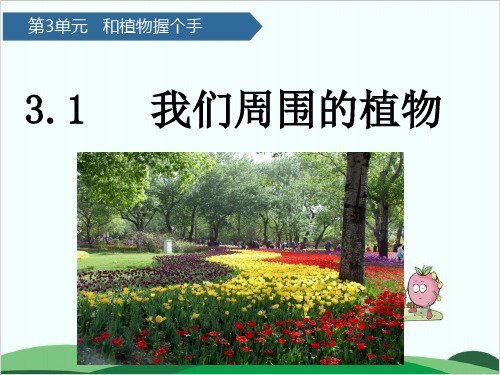 (一下)科学PPT课件8我们周围的植物 青岛版(六年制)(13张)