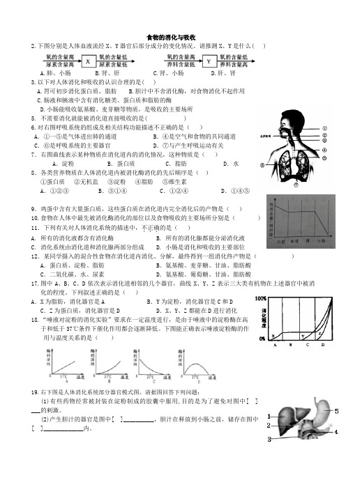 生物中考试题分类集人体的消化与吸收