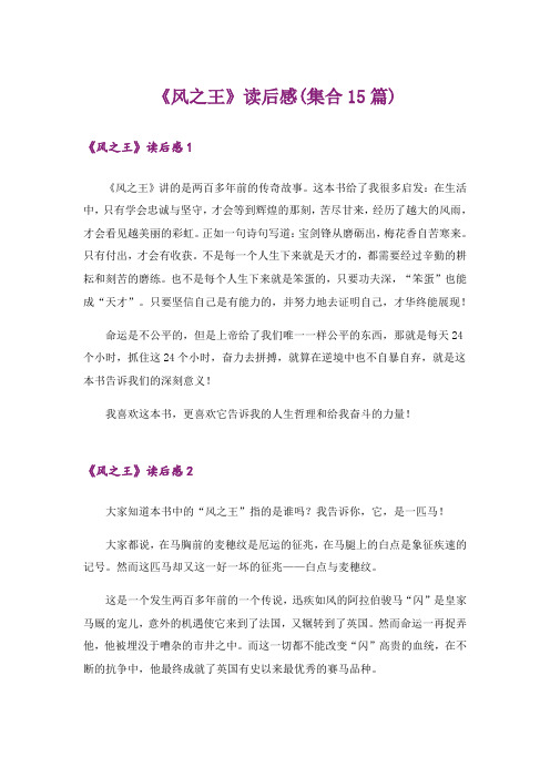 《风之王》读后感(集合15篇)