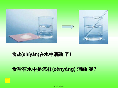 教科小学科学四上《2.2、物质在水中是怎样溶解的》PPT课件(1)