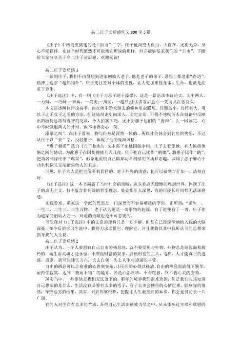 高二庄子读后感作文800字5篇