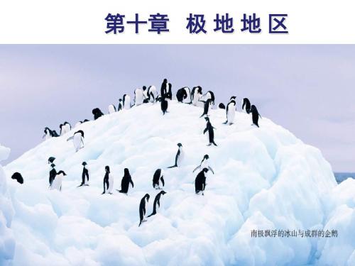 人教版地理七下第十章《极地地区》优质课件  (18)