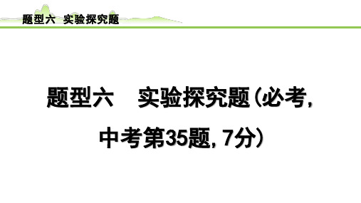 中考总复习化学6-题型六 实验探究题