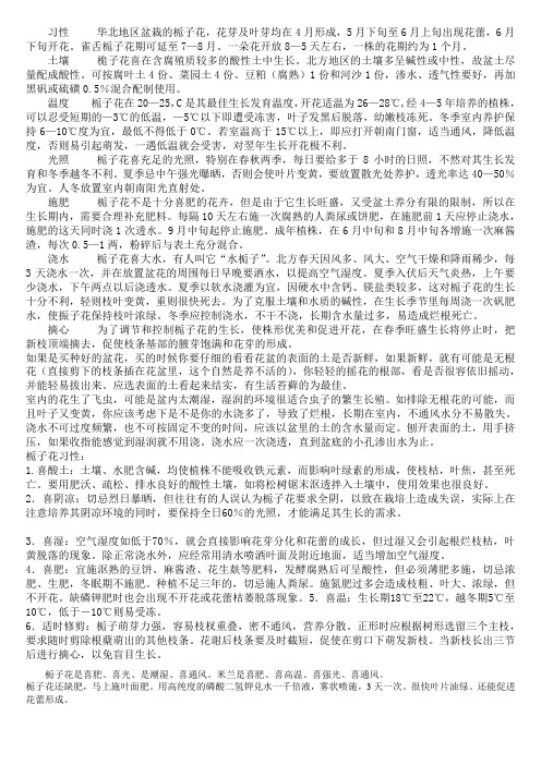 栀子花