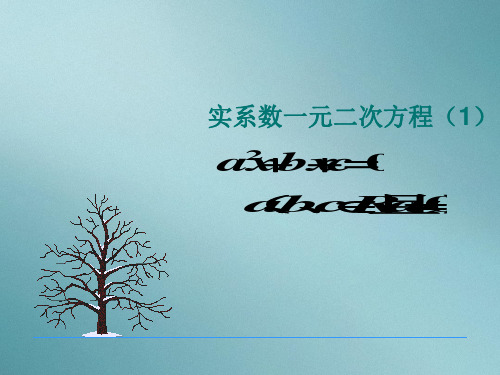 沪教版高中数学高二下册第十三章13.6 实系数一元二次方程 课件(2)