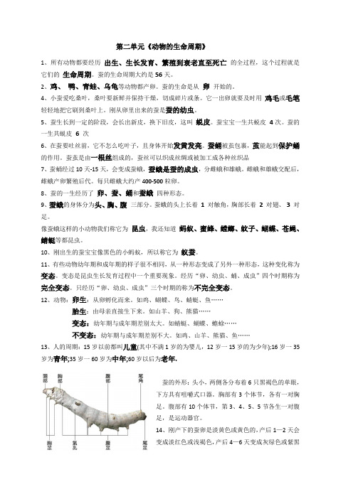 教科版三年级科学下册第二单元复习资料(最全,最系统)