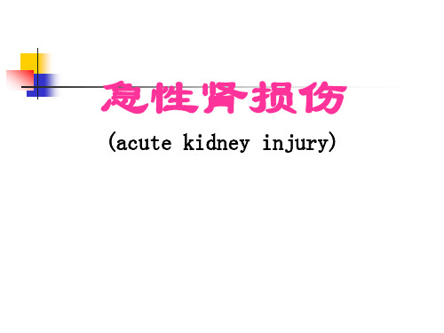 急性肾损伤课件
