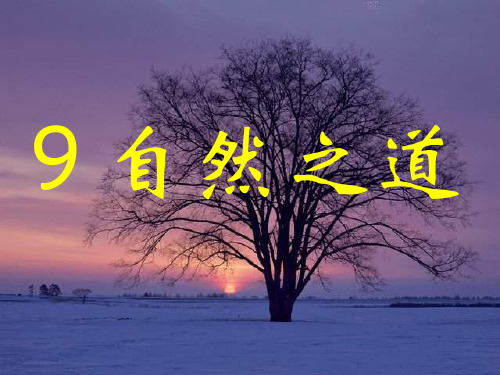 9自然之道PPT课件