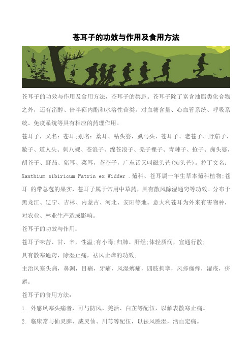 【推荐】苍耳子的功效与作用及食用方法