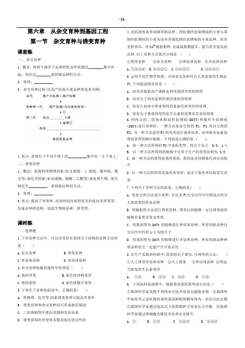 高中生物必修二第6章课时作业