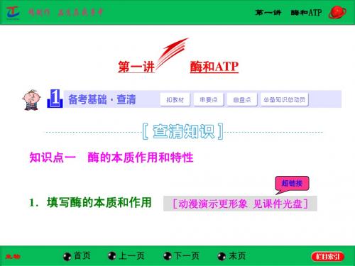 第一讲  酶和ATP