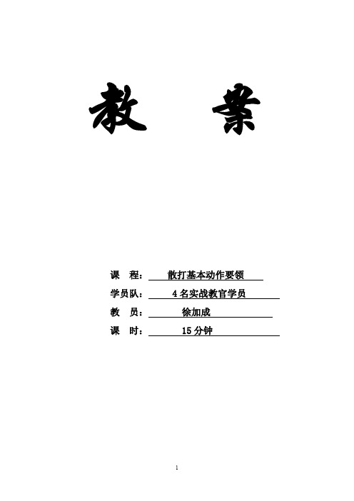 散打基本动作要领教案