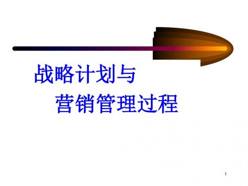 市场营销战略决策与营销策略决策PPT课件( 30页)