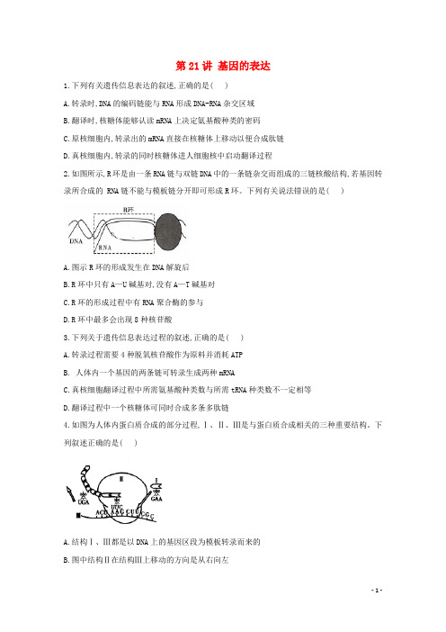 2021年高考生物一轮复习 第21讲 基因的表达跟踪练（含解析）