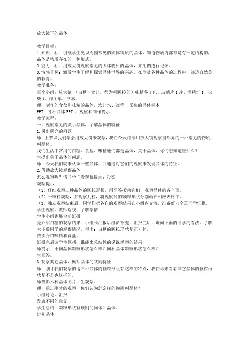 教科版六年级下册科学教案放大镜下的晶体2教学设计