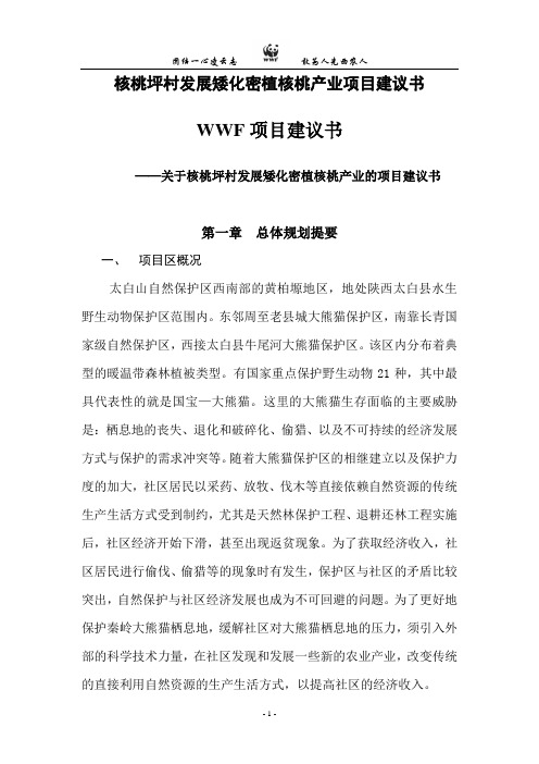 核桃坪村发展矮化密植核桃产业项目可行性研究报告