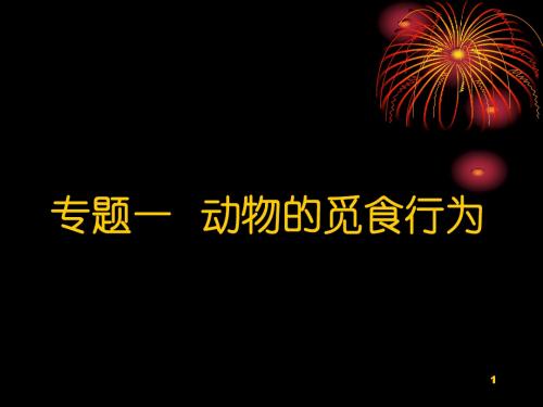 动物行为学——觅食行为课件