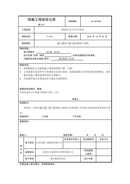 地下室板墙止水条隐蔽工程验收记录