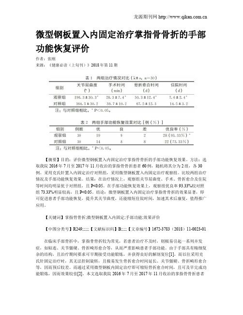 微型钢板置入内固定治疗掌指骨骨折的手部功能恢复评价